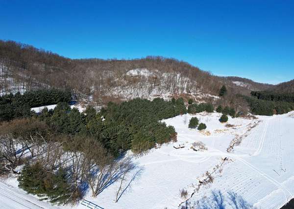 191 Acres of Recreational Land for Sale in Richland Center, Wisconsin