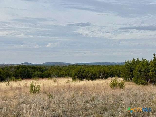 58 Acres of Recreational Land for Sale in Kempner, Texas