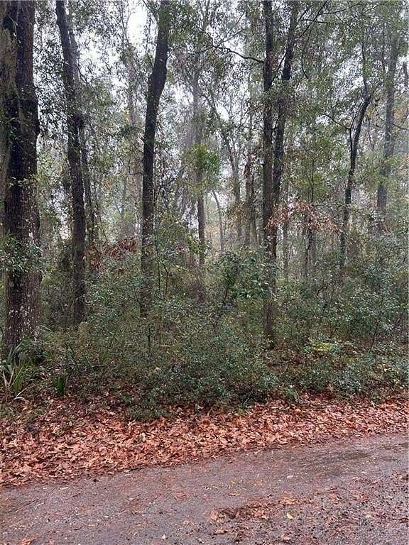 0.54 Acres of Residential Land for Sale in Townsend, Georgia
