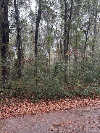 0.54 Acres of Residential Land for Sale in Townsend, Georgia