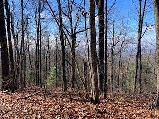 1.67 Acres of Residential Land for Sale in Ellijay, Georgia