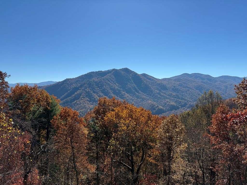 65.5 Acres of Recreational Land for Sale in Topton, North Carolina