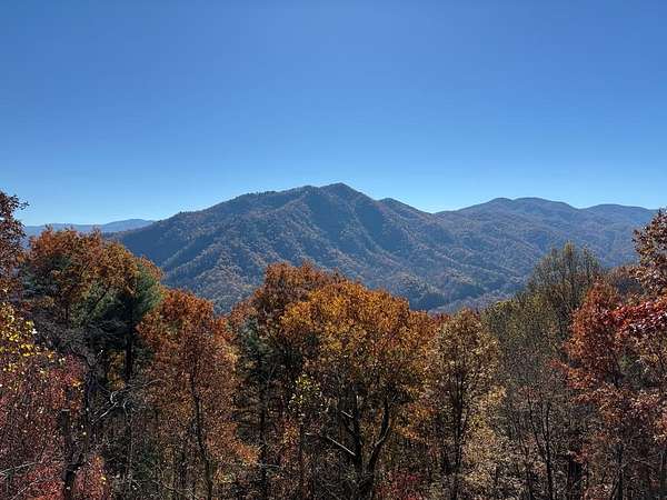 65.5 Acres of Land for Sale in Topton, North Carolina