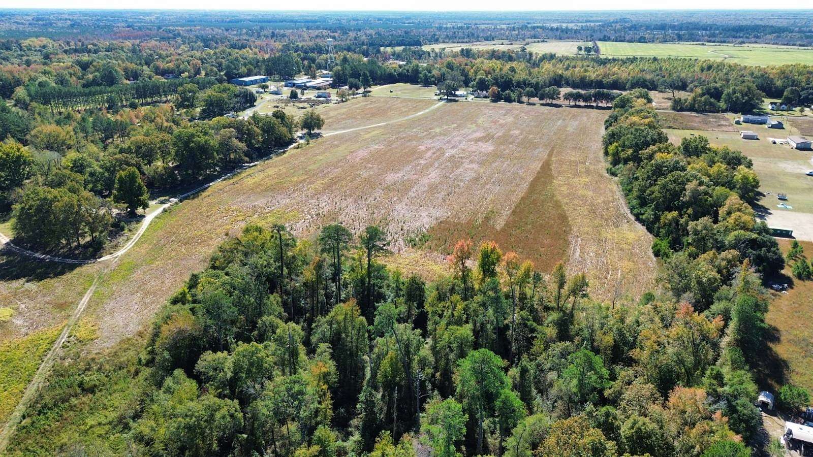 29.5 Acres of Agricultural & Residential Land for Sale in Wallace, South Carolina