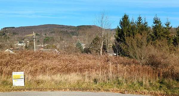 1.32 Acres of Commercial Land for Auction in Mansfield, Pennsylvania