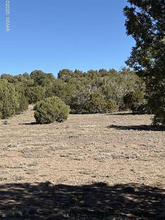 10 Acres of Residential Land for Sale in Concho, Arizona