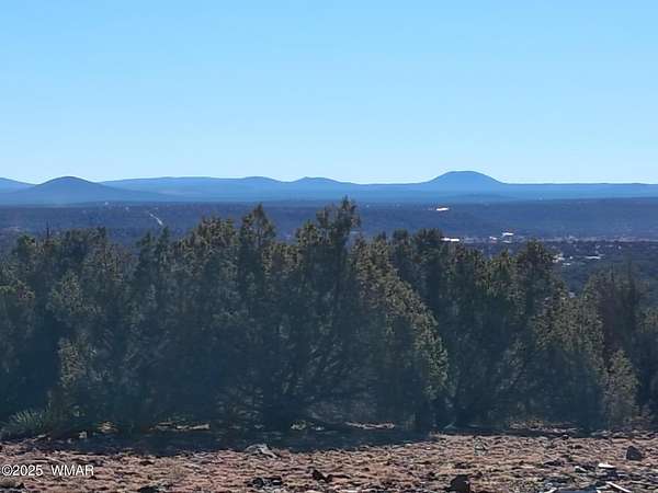 10 Acres of Residential Land for Sale in Concho, Arizona