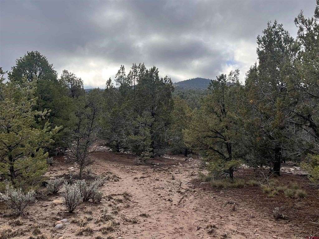 36 Acres of Land for Sale in Ignacio, Colorado