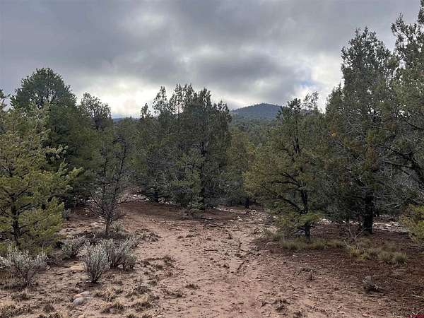 36 Acres of Land for Sale in Ignacio, Colorado