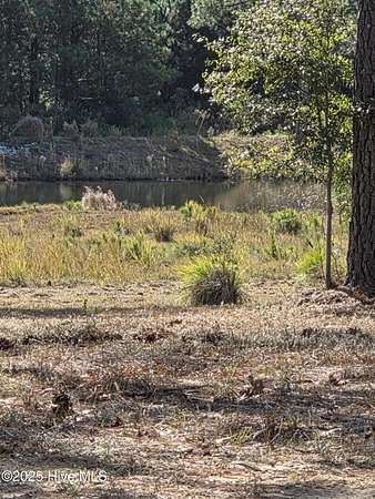 0.26 Acres of Residential Land for Sale in Sunset Beach, North Carolina