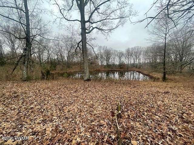 20.5 Acres of Agricultural Land for Sale in Sardis, Tennessee