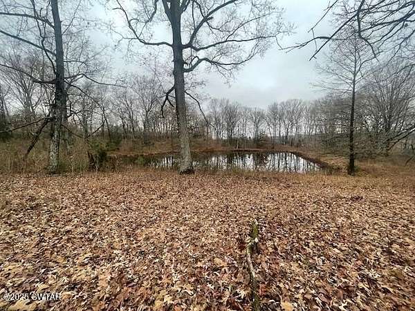 20.5 Acres of Agricultural Land for Sale in Sardis, Tennessee