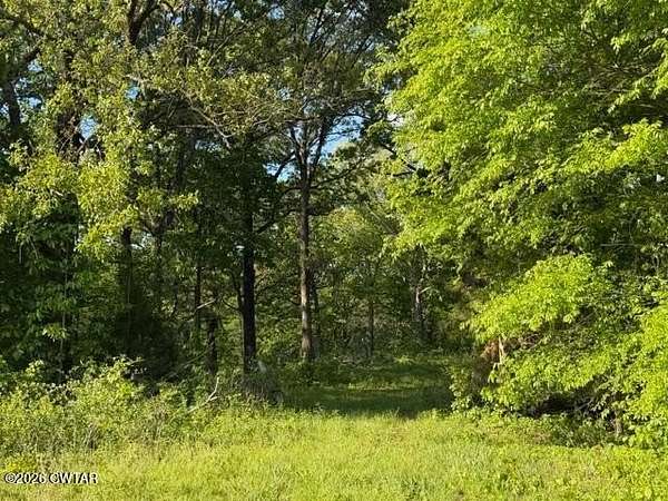 20.5 Acres of Agricultural & Residential Land for Sale in Sardis, Tennessee
