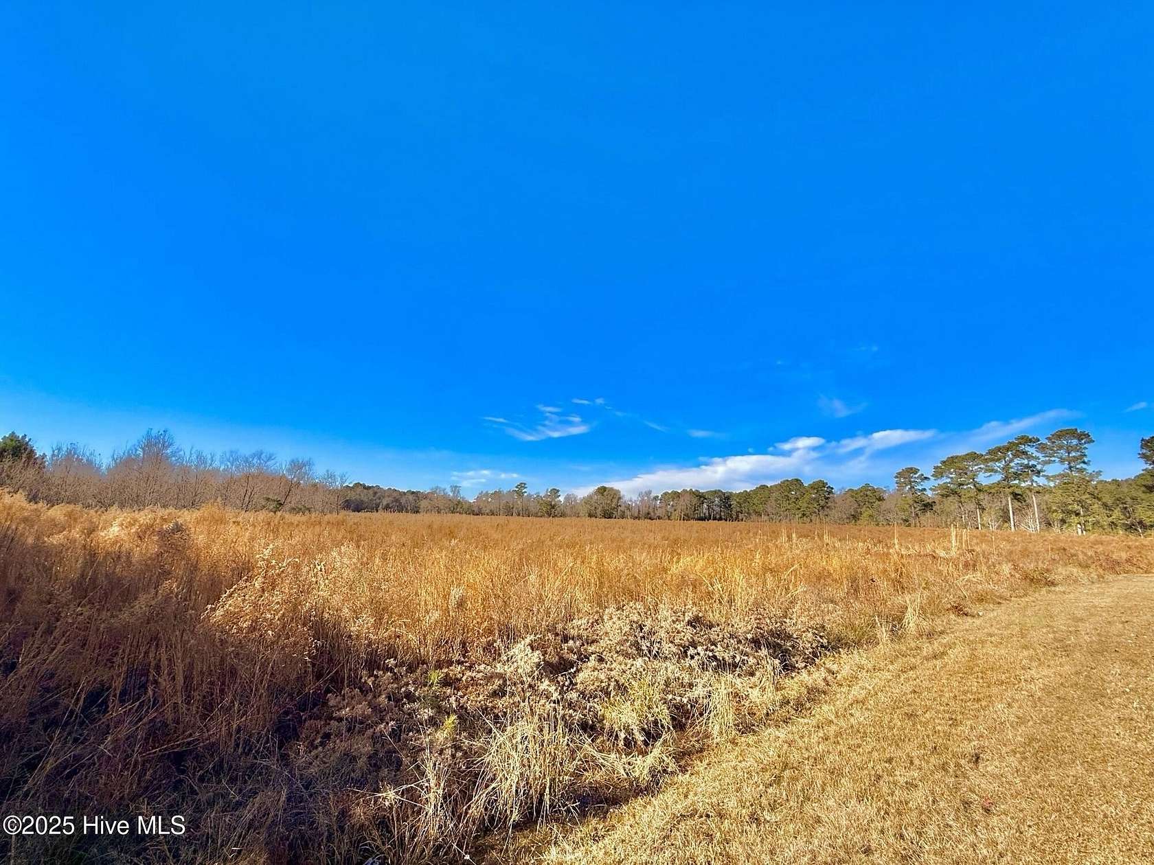 12 Acres of Land for Sale in Fairmont, North Carolina
