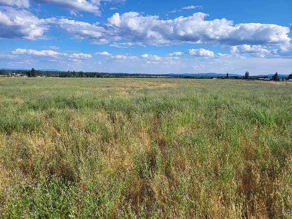 9.85 Acres of Residential Land for Sale in Deer Park, Washington