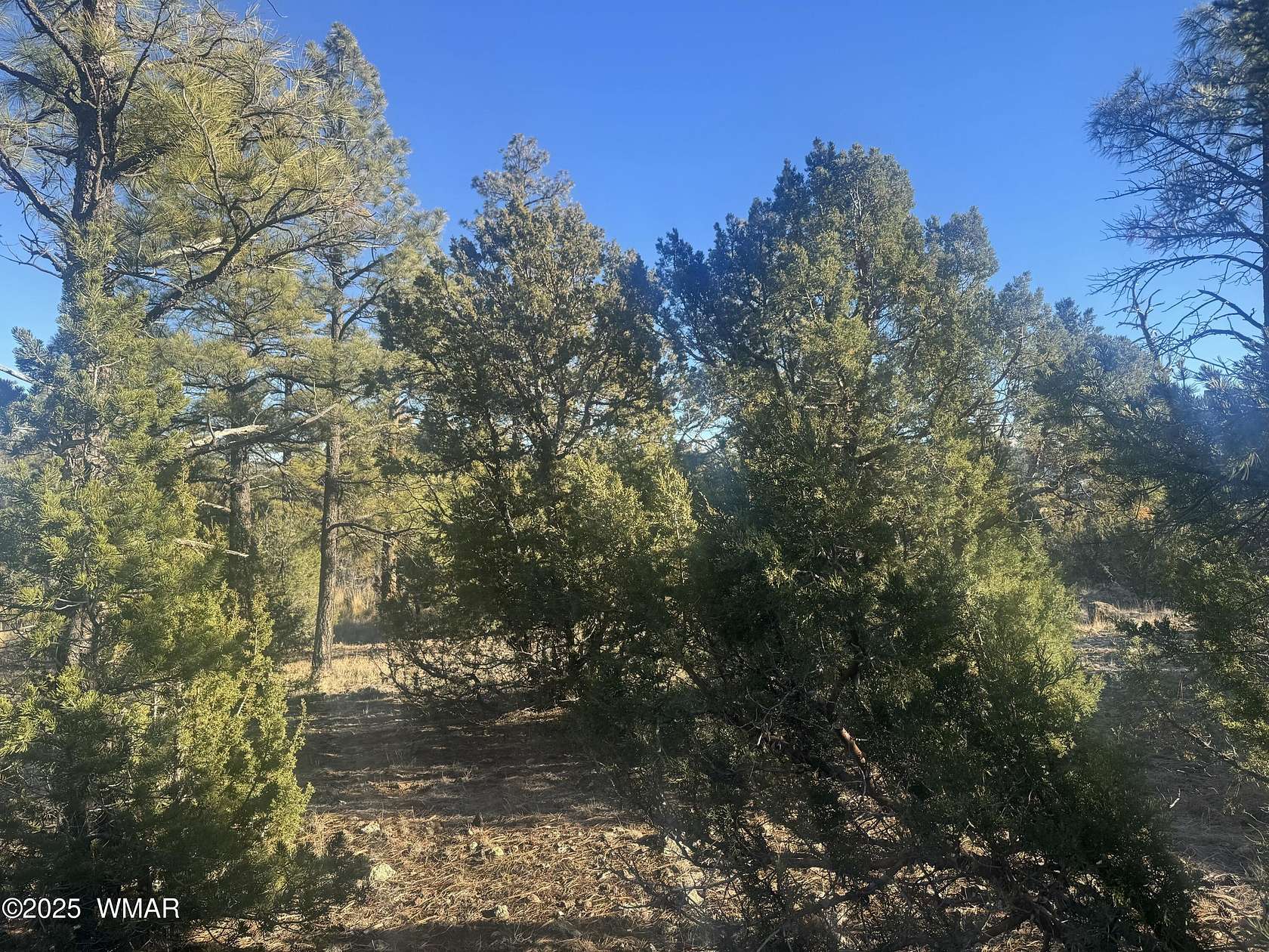 0.2 Acres of Residential Land for Sale in Show Low, Arizona
