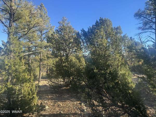 0.2 Acres of Residential Land for Sale in Show Low, Arizona