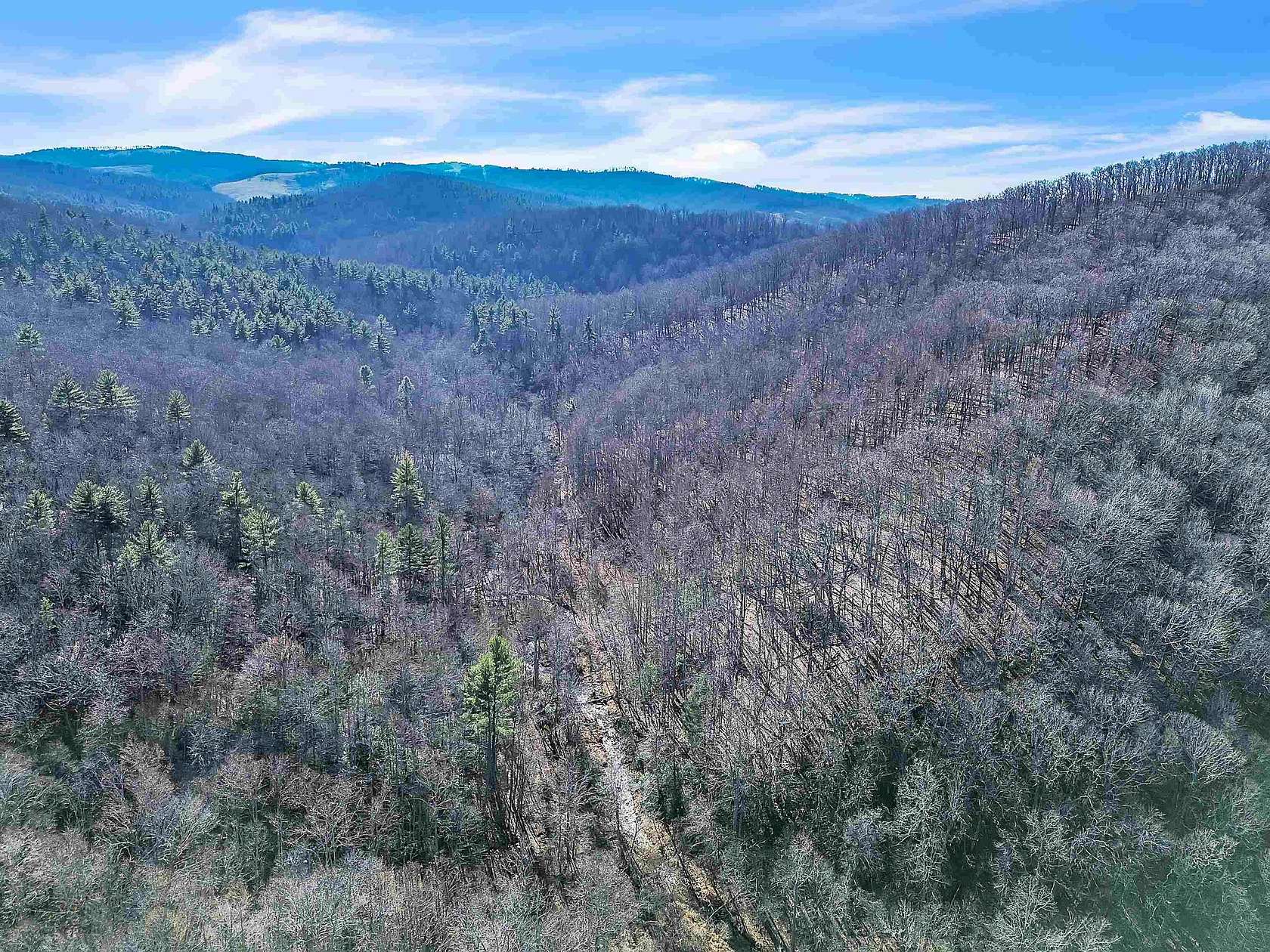 55 Acres of Recreational Land for Sale in Floyd, Virginia
