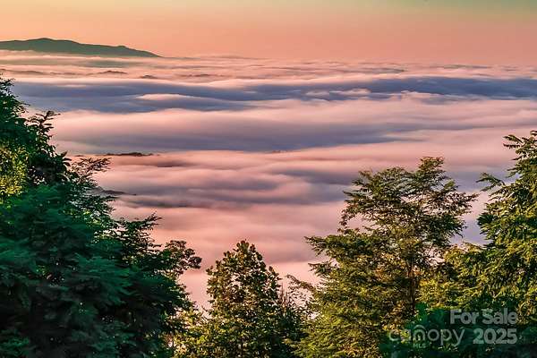 20.3 Acres of Land for Sale in Union Mills, North Carolina