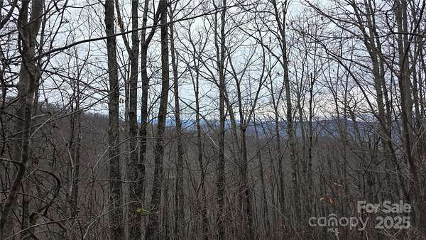 4 Acres of Residential Land for Sale in Swannanoa, North Carolina
