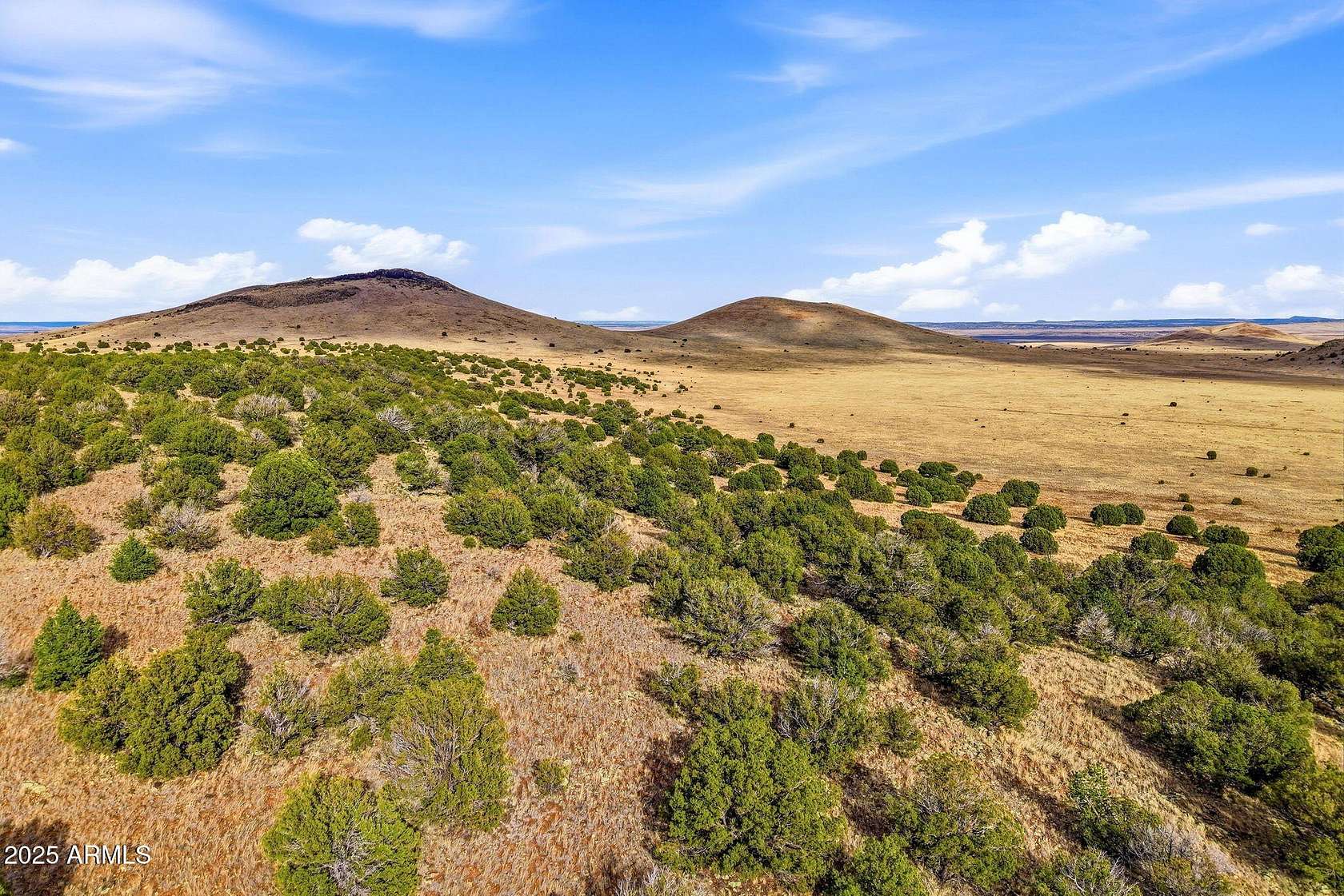 334 Acres of Land for Sale in Greer, Arizona
