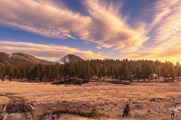 2.17 Acres of Residential Land for Sale in Nutrioso, Arizona