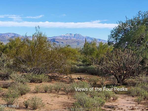 3 Acres of Residential Land for Sale in Rio Verde, Arizona