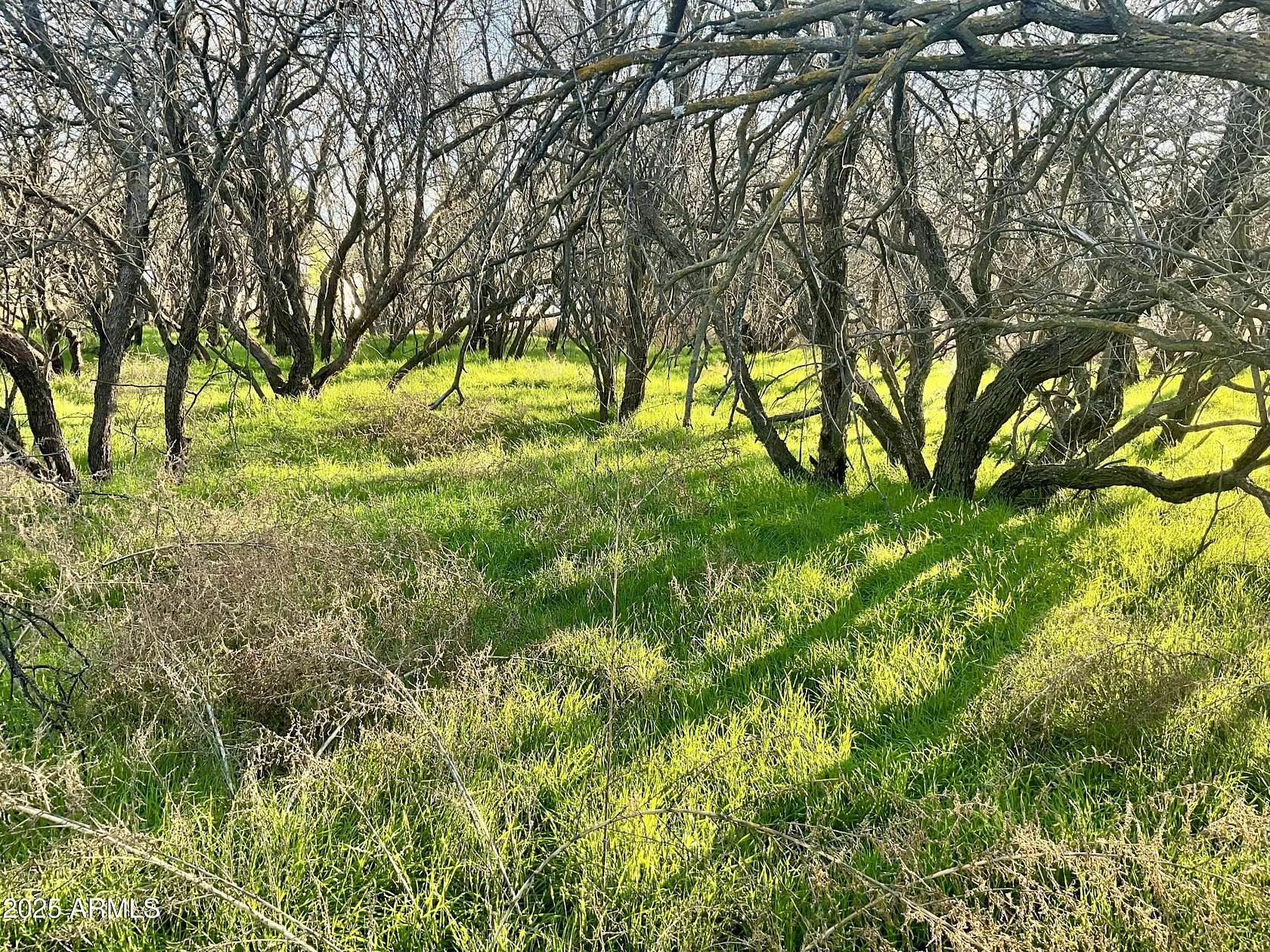 1.16 Acres of Residential Land for Sale in Cottonwood, Arizona