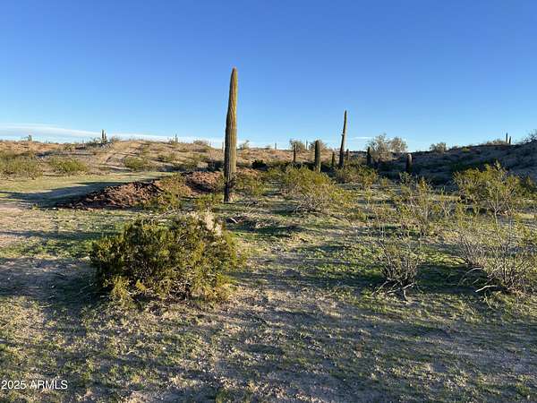5 Acres of Residential Land for Sale in Tonopah, Arizona