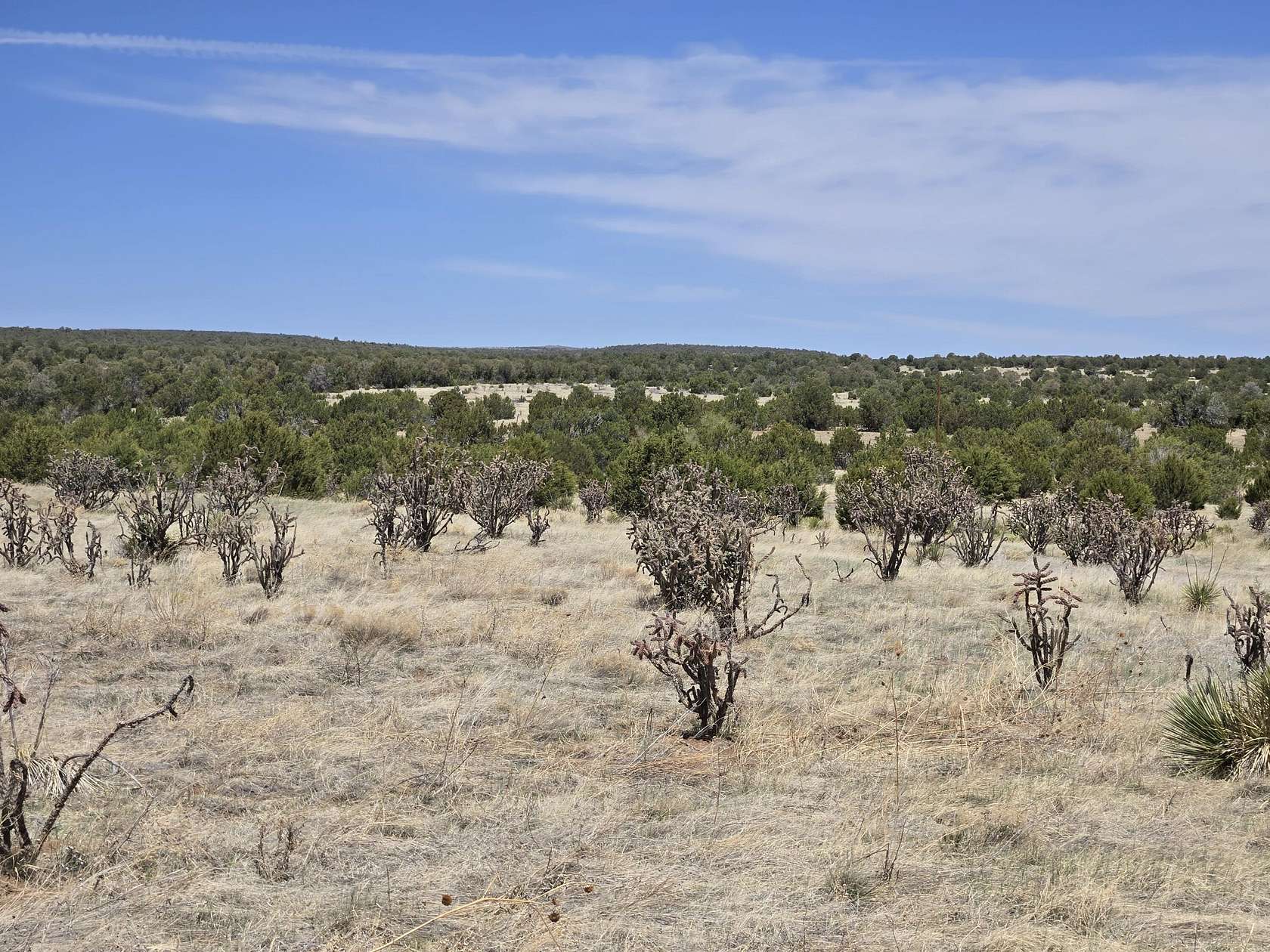 11.9 Acres of Land for Sale in Tajique, New Mexico