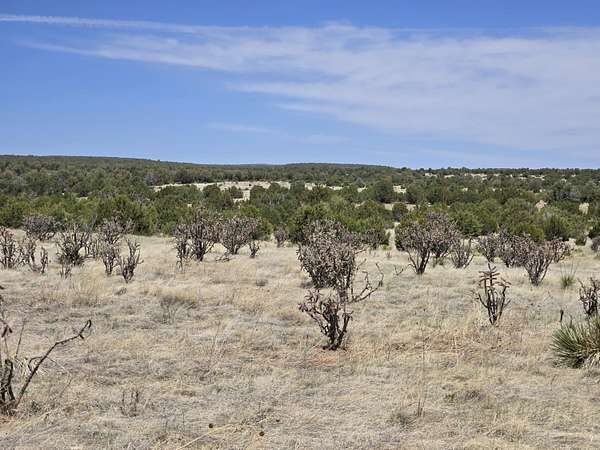 11.9 Acres of Land for Sale in Tajique, New Mexico