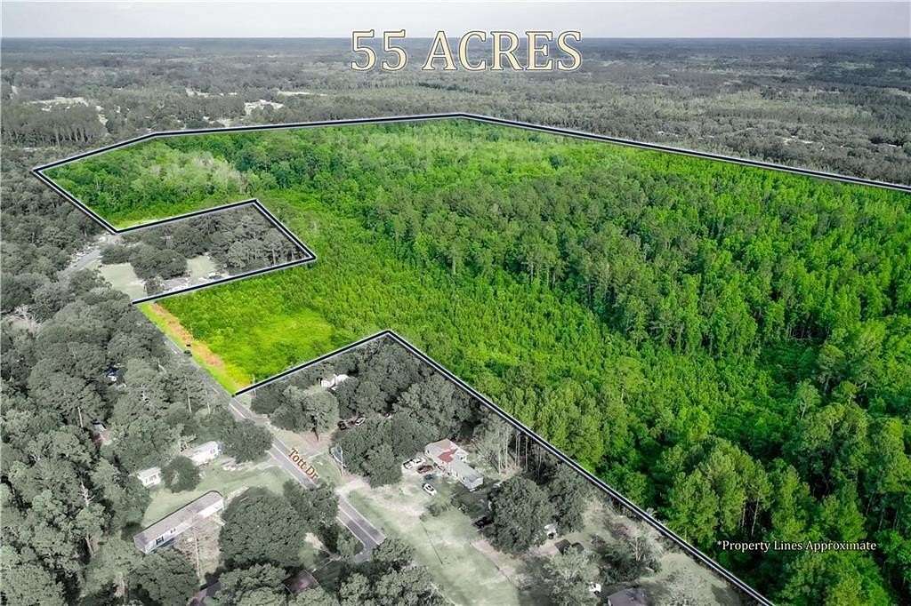 55 Acres of Recreational & Residential Land for Sale in Blackshear, Georgia