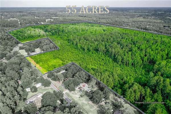 55 Acres of Recreational & Residential Land for Sale in Blackshear, Georgia