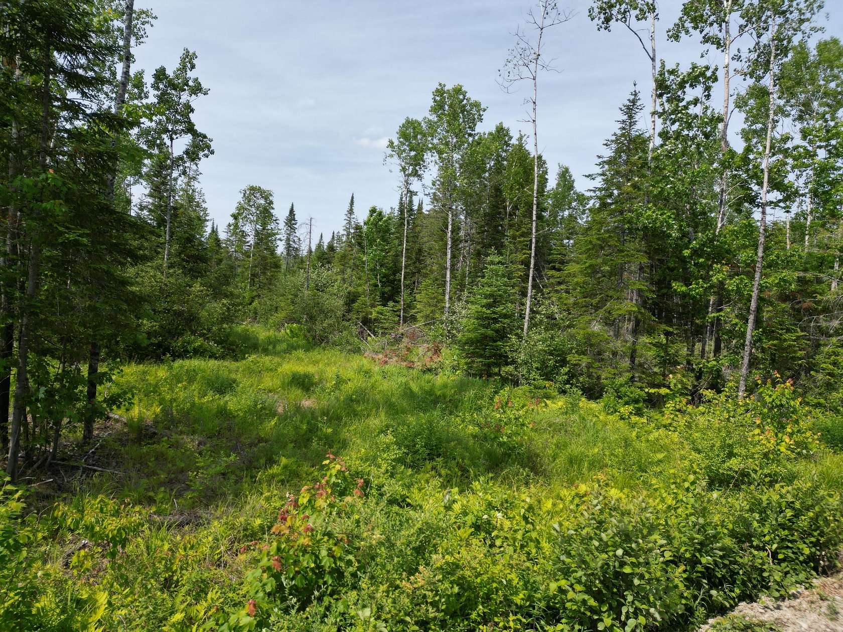 86 Acres of Recreational Land for Sale in Lowell, Maine
