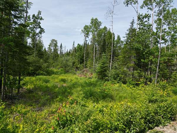 86 Acres of Recreational Land for Sale in Lowell, Maine