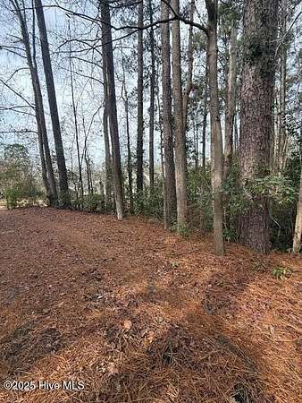 0.85 Acres of Residential Land for Sale in Rocky Point, North Carolina