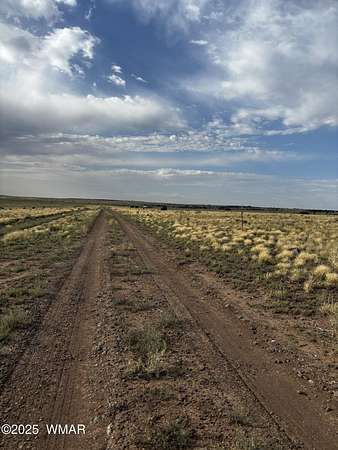 10 Acres of Agricultural Land for Sale in Concho, Arizona