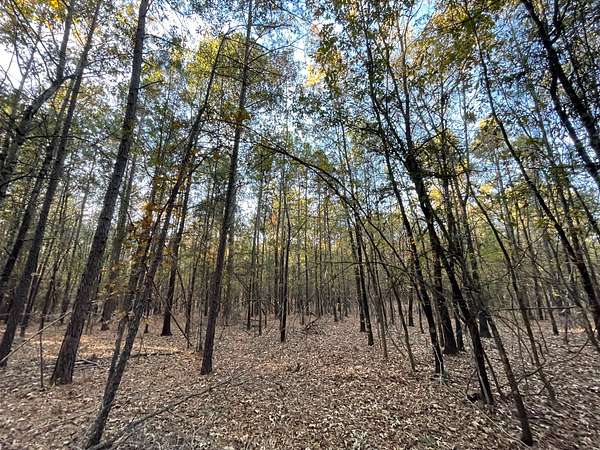 5 Acres of Residential Land for Sale in Antlers, Oklahoma