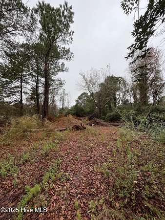 0.56 Acres of Residential Land for Sale in Beaufort, North Carolina