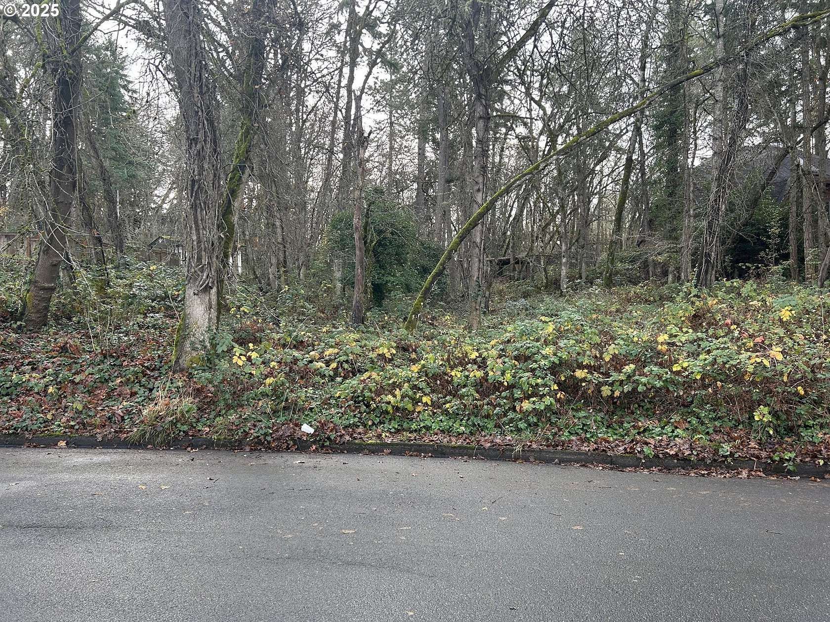 0.3 Acres of Residential Land for Sale in Eugene, Oregon