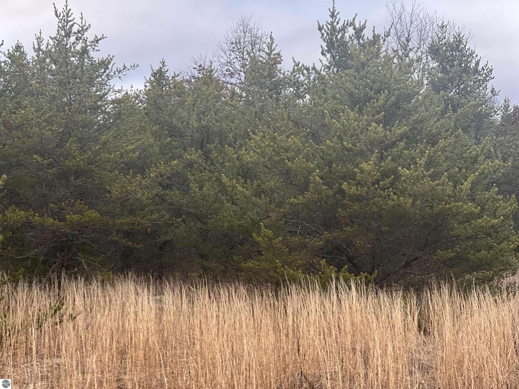 10 Acres of Recreational Land for Sale in Chase, Michigan