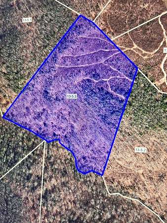 24.6 Acres of Recreational Land for Sale in Jumping Branch, West Virginia