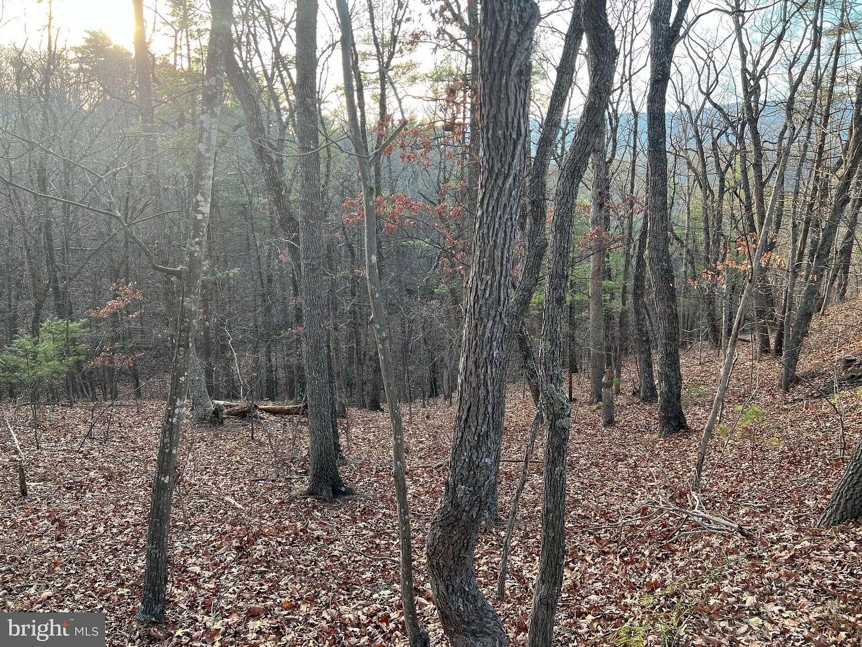 0.6 Acres of Land for Sale in Basye, Virginia