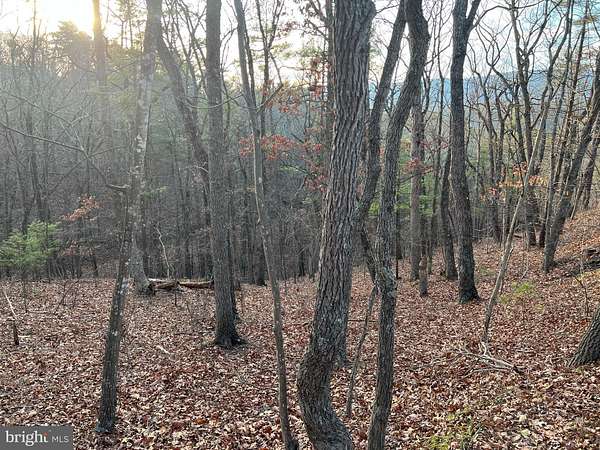 0.6 Acres of Land for Sale in Basye, Virginia