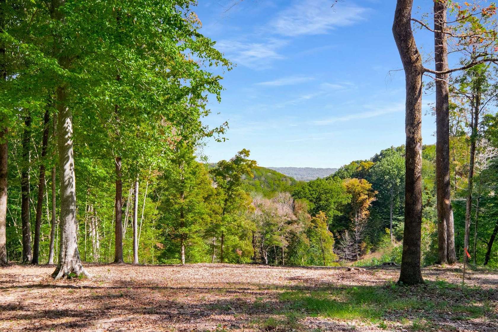 94 Acres of Recreational Land for Sale in Franklin, Tennessee