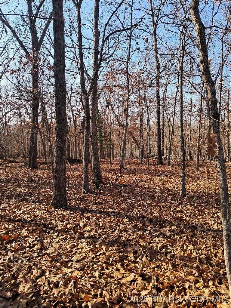 6.3 Acres of Residential Land for Sale in Gravois Mills, Missouri