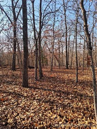 6.3 Acres of Land for Sale in Gravois Mills, Missouri
