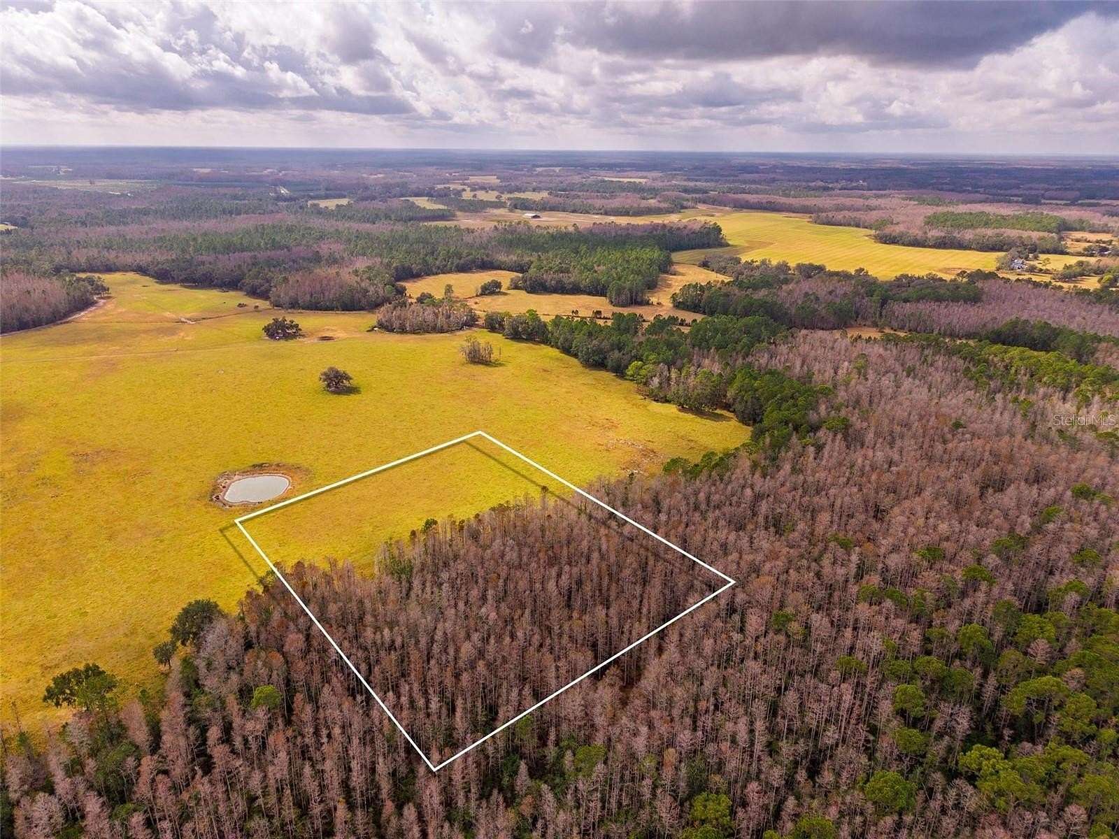 10 Acres of Land for Sale in Clermont, Florida