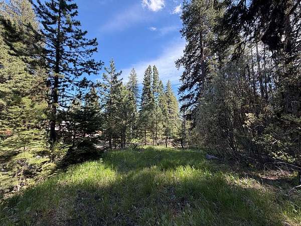0.65 Acres of Residential Land for Sale in Donnelly, Idaho