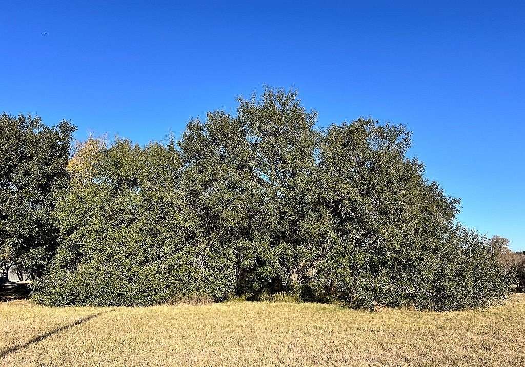 3.63 Acres of Land for Sale in Caldwell, Texas